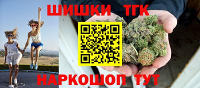 Альфа ПВП Сланцы